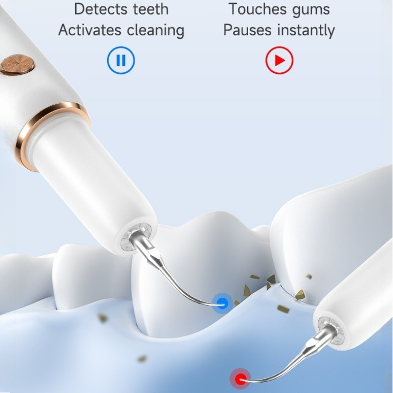 Spazzolini Elettrici per Cani  - Teeth Whitening Toothbrush recensione e prezzo