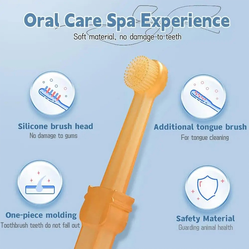 Kit per la Pulizia dei Denti d - Teeth Whitening Toothbrush recensione e prezzo